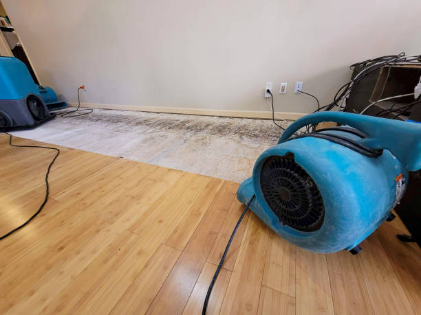 Professional Emergency Water Damage technician working in Ocean View, DE